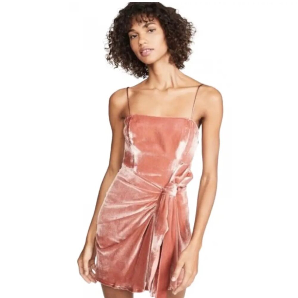 Cinq a Sept Kiki Velvet Mini Dress- Size 8